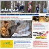 Úvodní stránka ADAM.cz (2017)